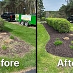 Mulch Bed Renovation