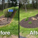Mulch Bed Renovation