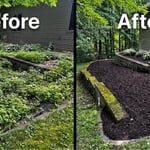 Mulch Bed Renovation - Rib Mountain