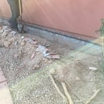 Exposed rebar