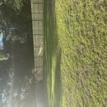 Residential wood fence