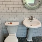 Toilet and vanity