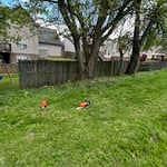 CLEARED BUSHES ALONG FENCE