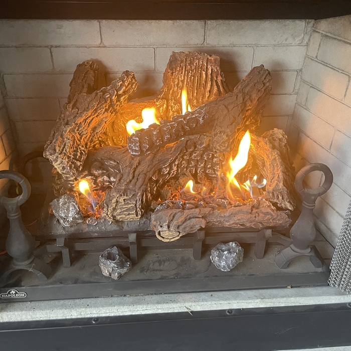 Napoleon Outdoor Ventless Log