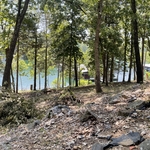 Land Clearing