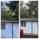 Moss Removal