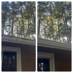 Gutter Whitening