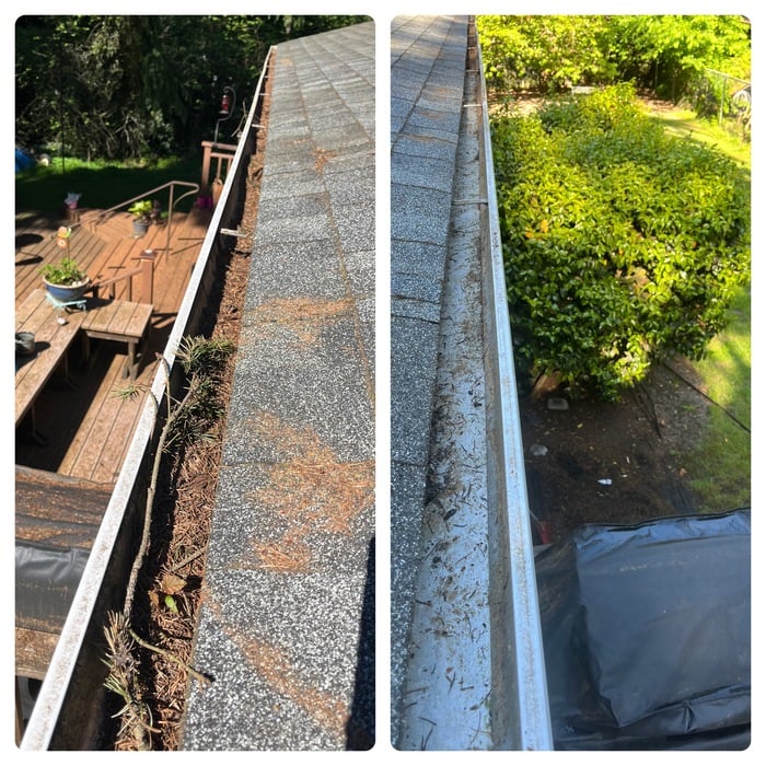 Gutter Clean Out