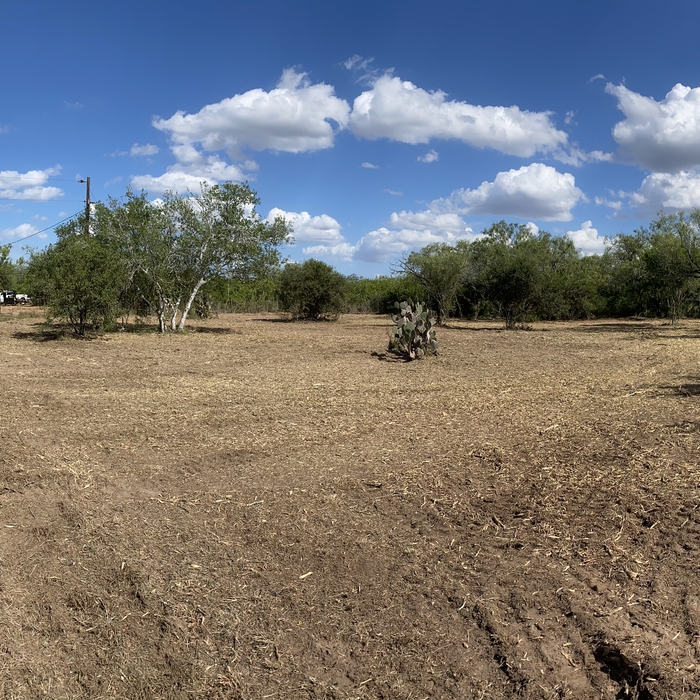 mulching/clearing