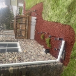 Red mulch