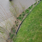 Yard Clean Up