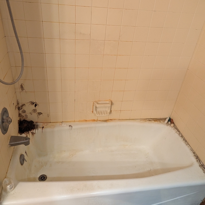Deep Clean