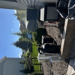 My Projects