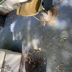 Pontoon Pressure wash
