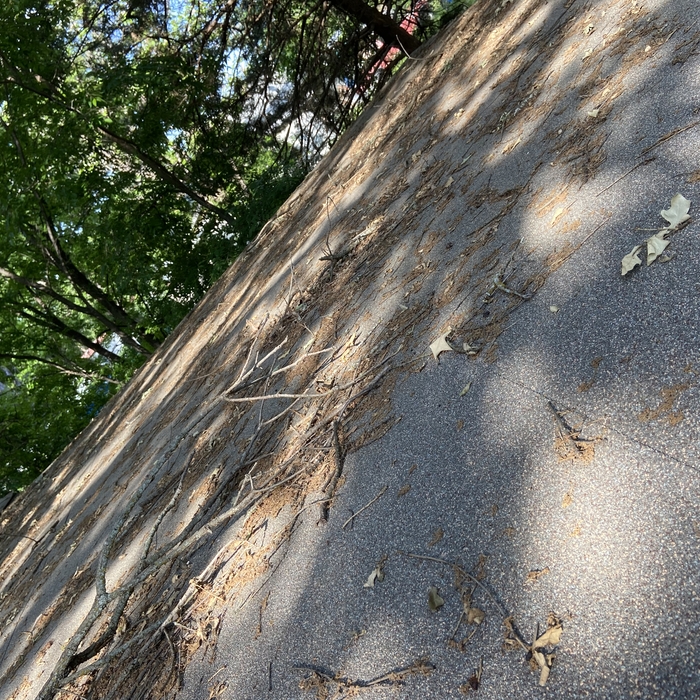 Roof Debris removal