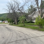 Tree Service
