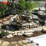 Cheyenne feature