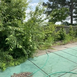 Before