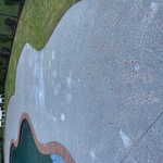Paths at a swimming