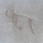 Stains