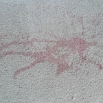 Stains