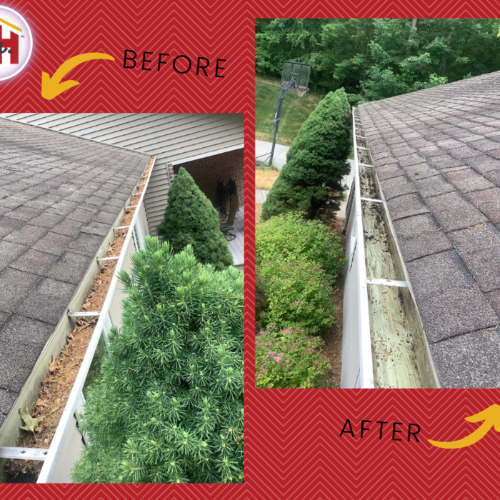 Gutter Cleaning
