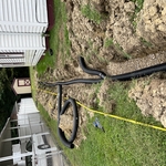 French Drain