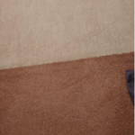 Custom Carpeted Stairs