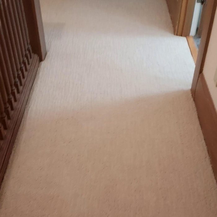 Custom Carpeted Stairs