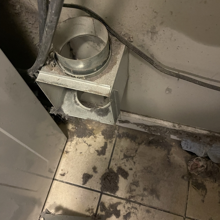 Dryer vent