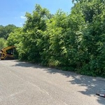Lot Clearing