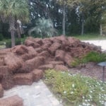 My jobs