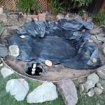 Fish pond rebuild