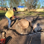 Stump Grinding