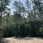Land Clearing