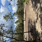 Land Clearing