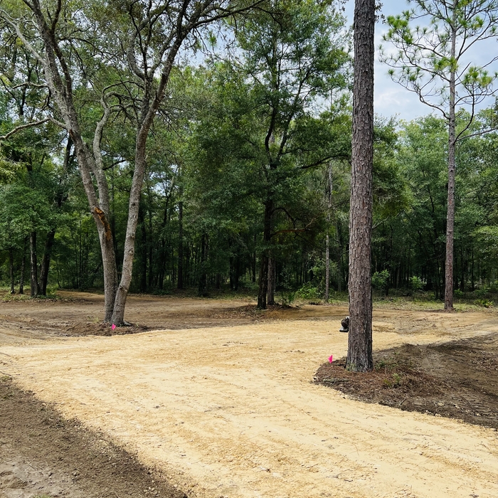 Land Clearing