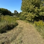 Cleared brush for new hunting spot.