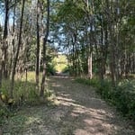 Land Managment