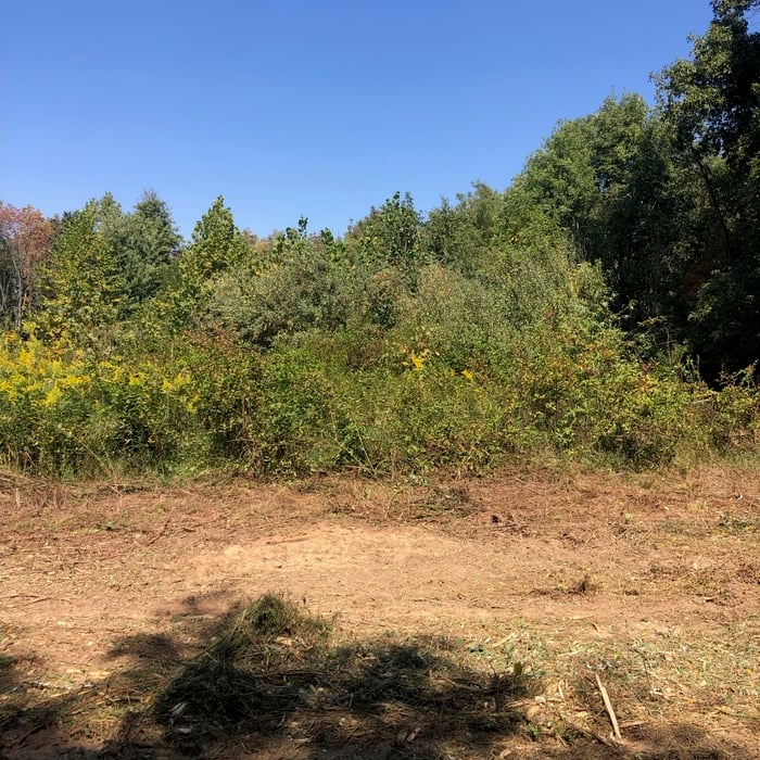 Land Managment