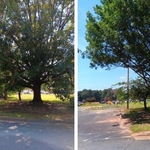 Local parking lot