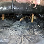 Stained and contaminated vapor barrier
