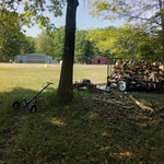 Aspen firewood load