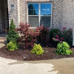 Landscape Remodel