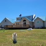 Roofing and More..