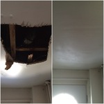 New Brunswick Job 2/13/16