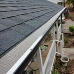 Gutter and gutter guards