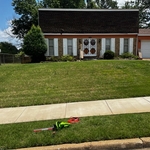 grass cut only