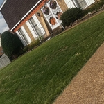 grass cutting