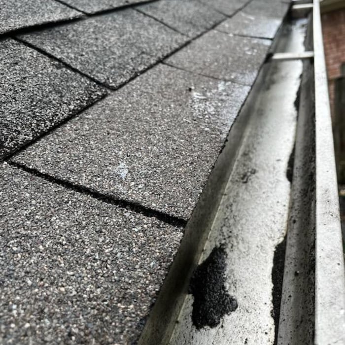 gutter cleaning
